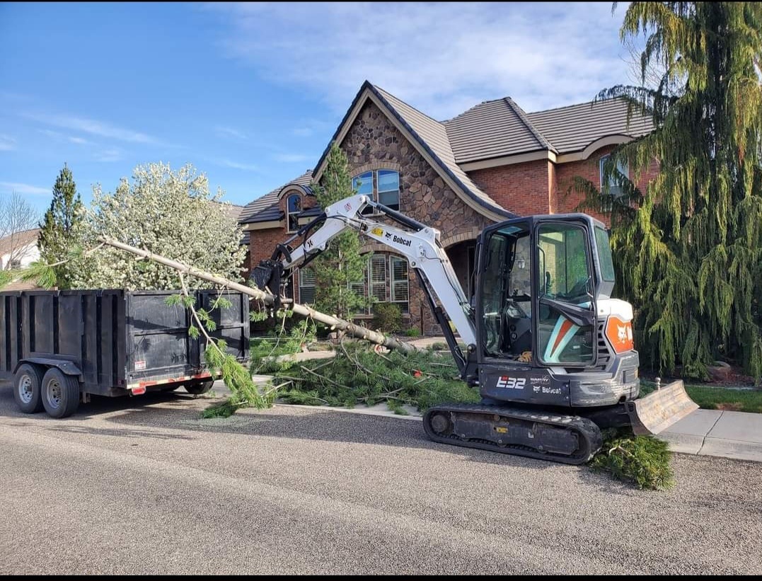 Competitive Tree job site photo